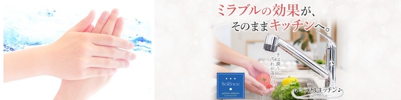 ��͏����A���ꂪ������@�~���u���L�b�`������T�C�g